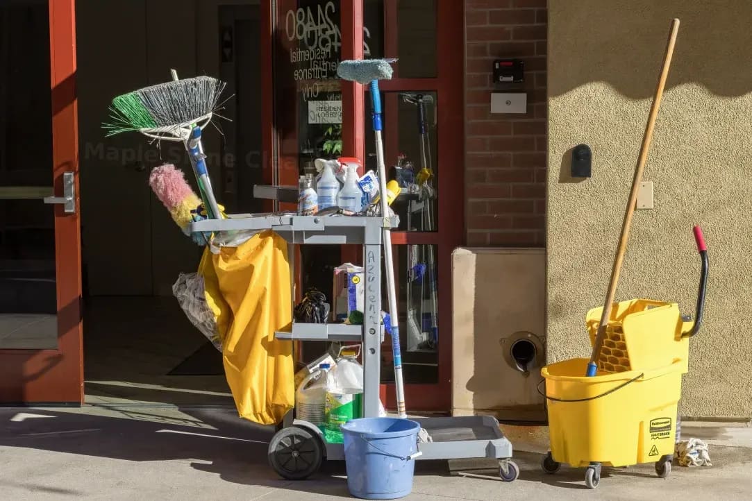 Maple Shine Cleaning 4