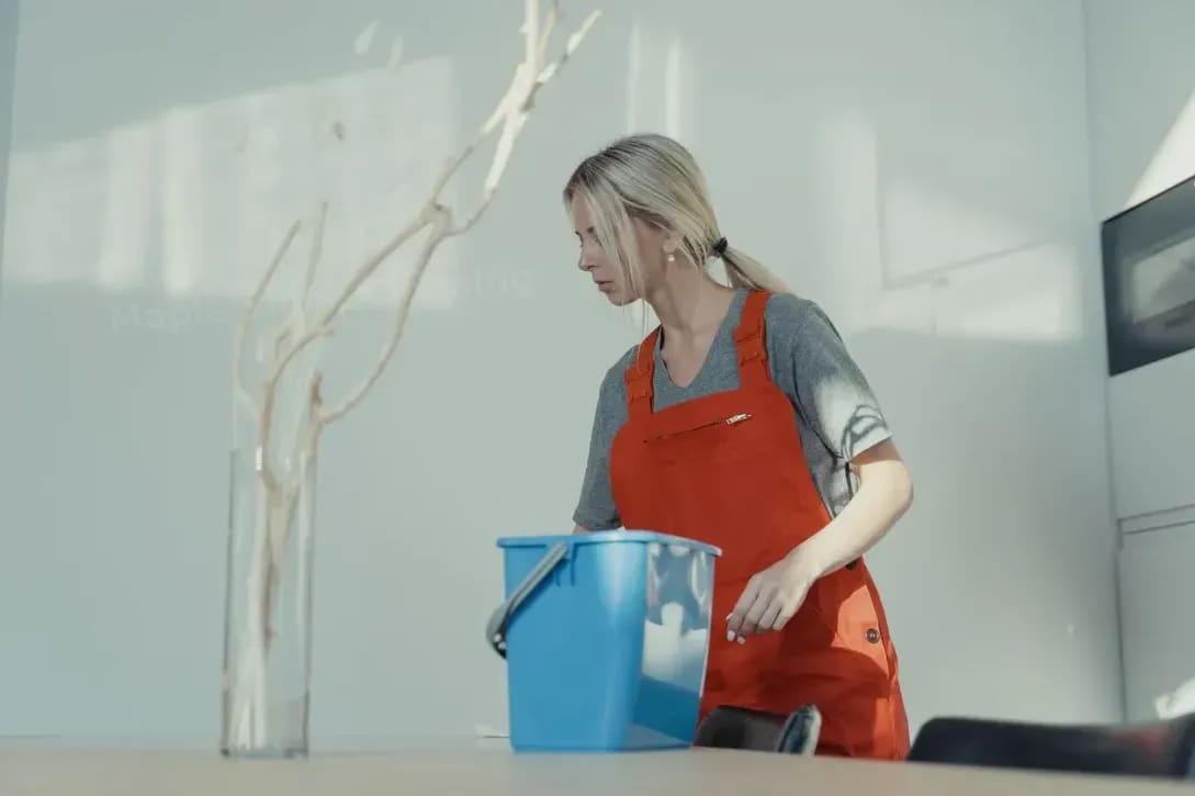 Move-in and move-out cleaning